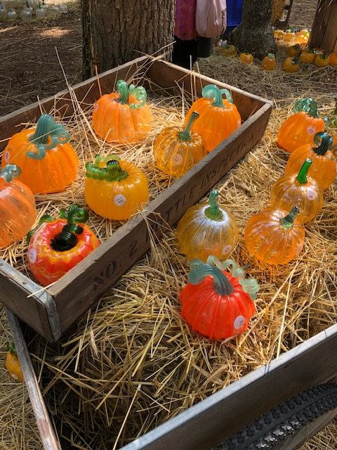 Glass Pumpkin Patch-Blog-O-Ween