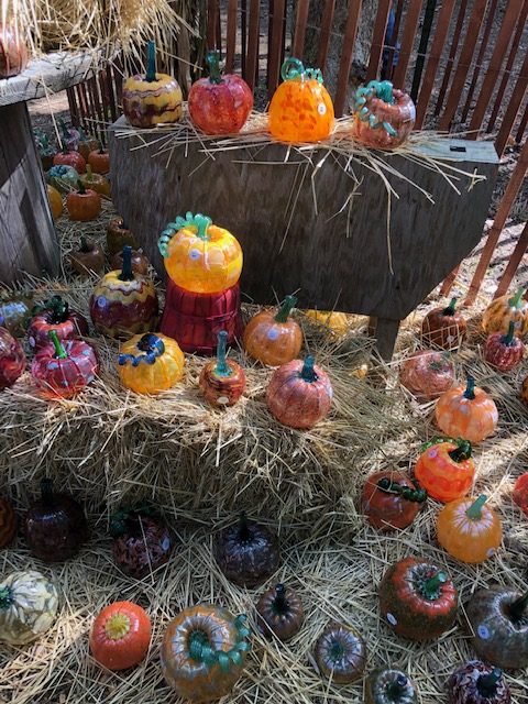 Glass Pumpkin Patch-The Poppy Skull 