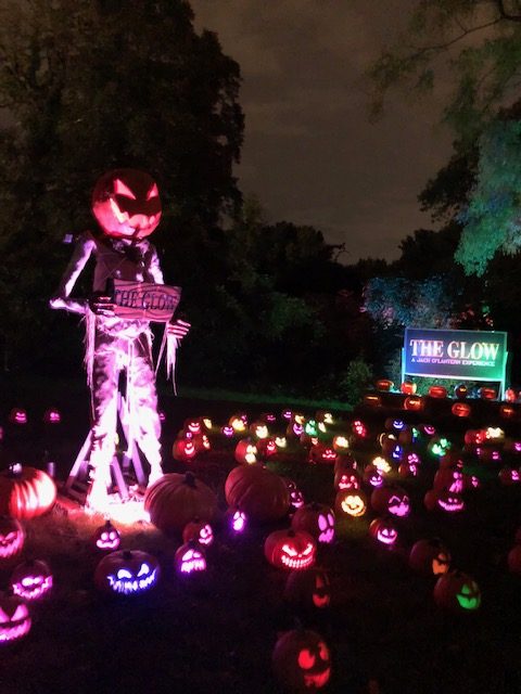 The Glow-Pumpkin