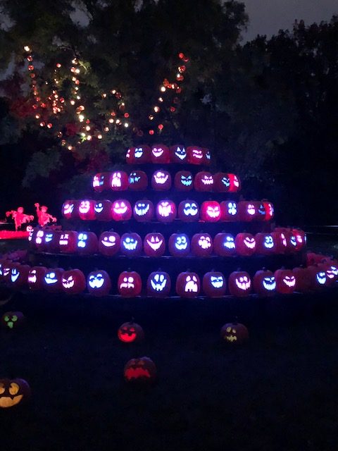 Pumpkin Display 