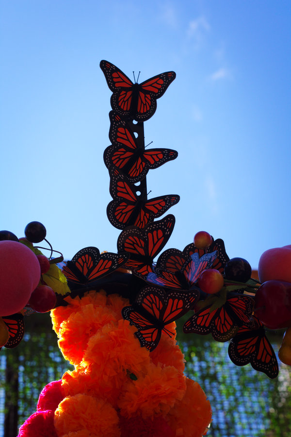 Day of the Dead San Antonio