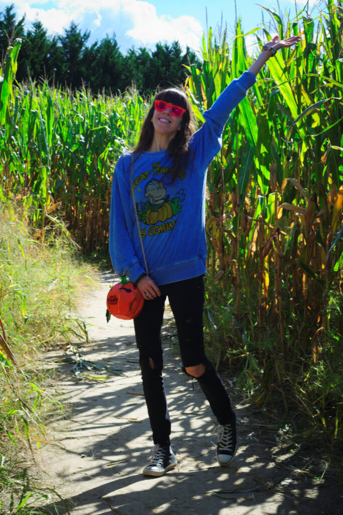 Corn Maze and Pumpkin Picking