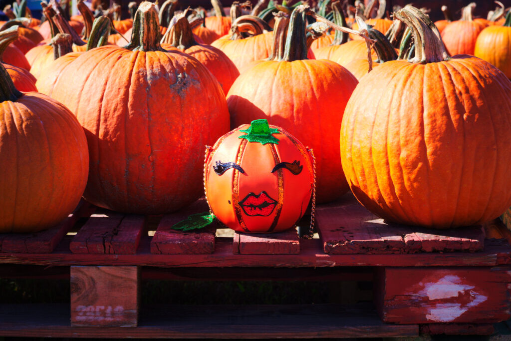 Pumpkin Picking- The Poppy Skull