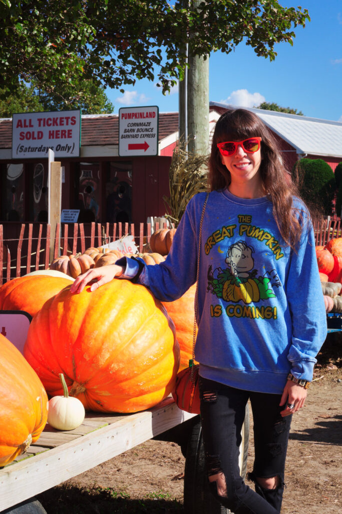 Duffield's Pumpkin Picking