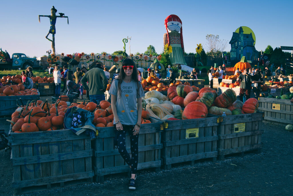 pumpkin land linvilla orchards 