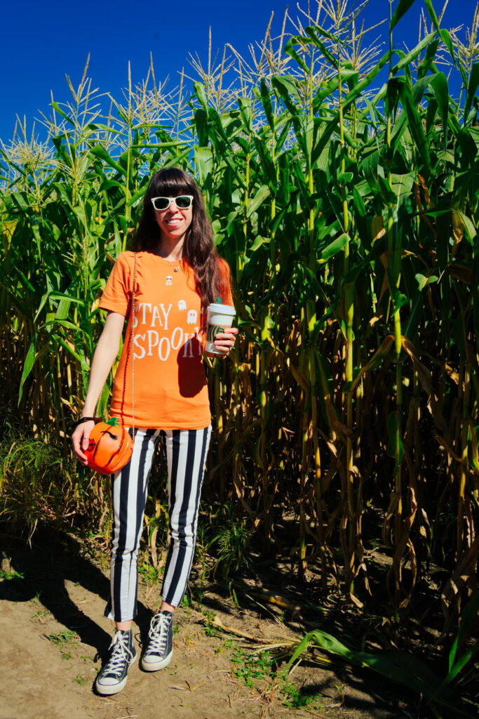 Duffield's Farm Corn Maze