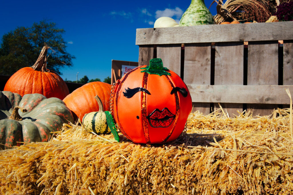 Pumpkin Purse- The Poppy Skull