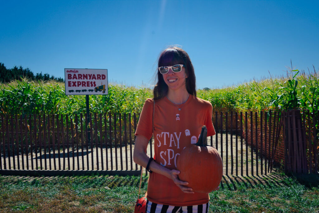 Pumpkin Land at Duffield's Farm