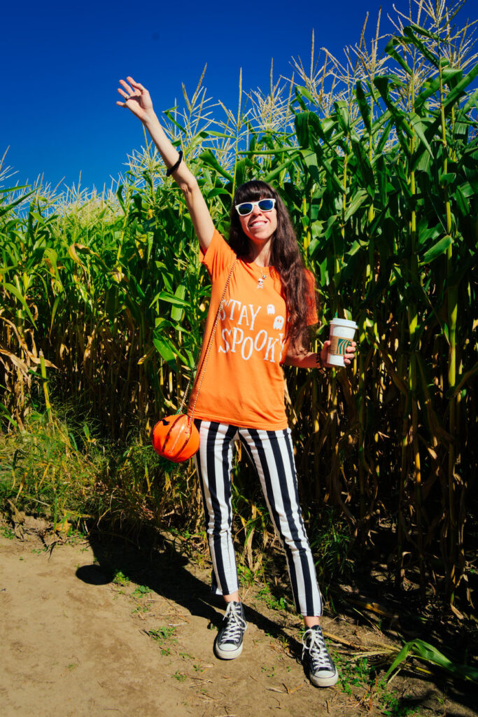 Duffield's Farm Corn Maze