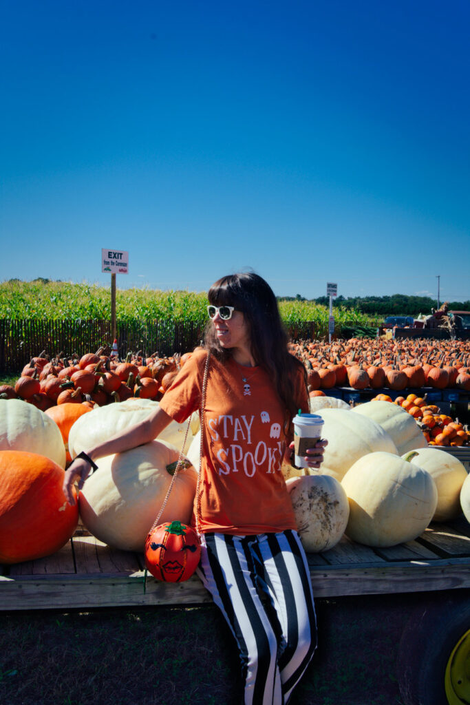 Pumpkin Land at Duffield's Farm