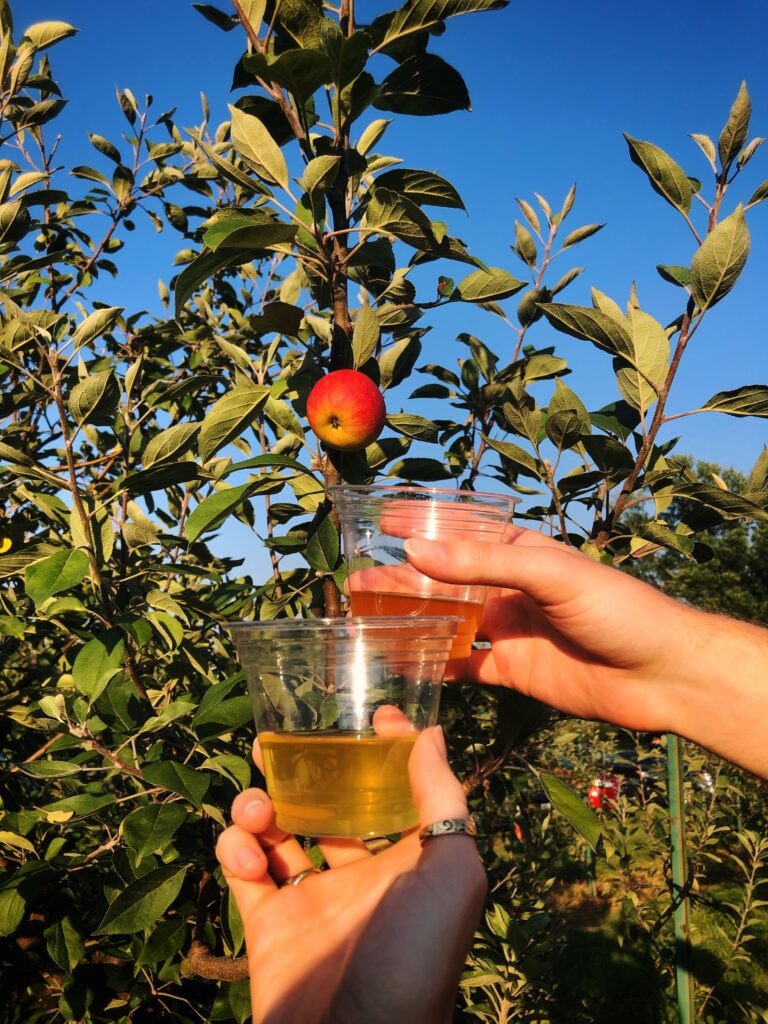 Cider Apple Orchards PA