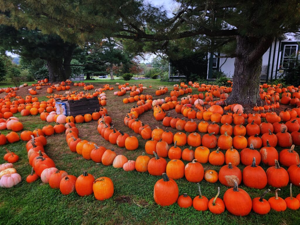 Chester County Farms