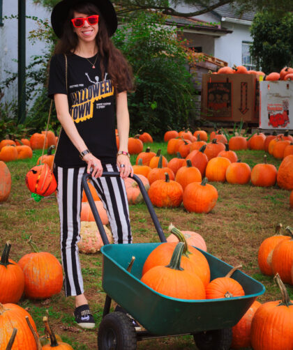 Pumpkin Picking at Barnard's Orchard