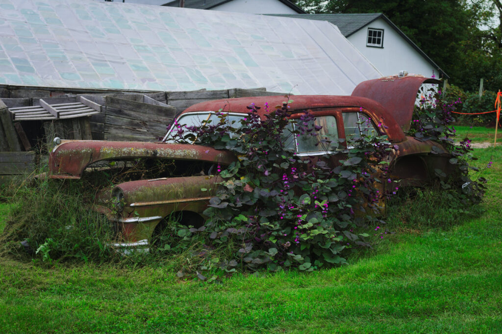 Kennett Square Farms