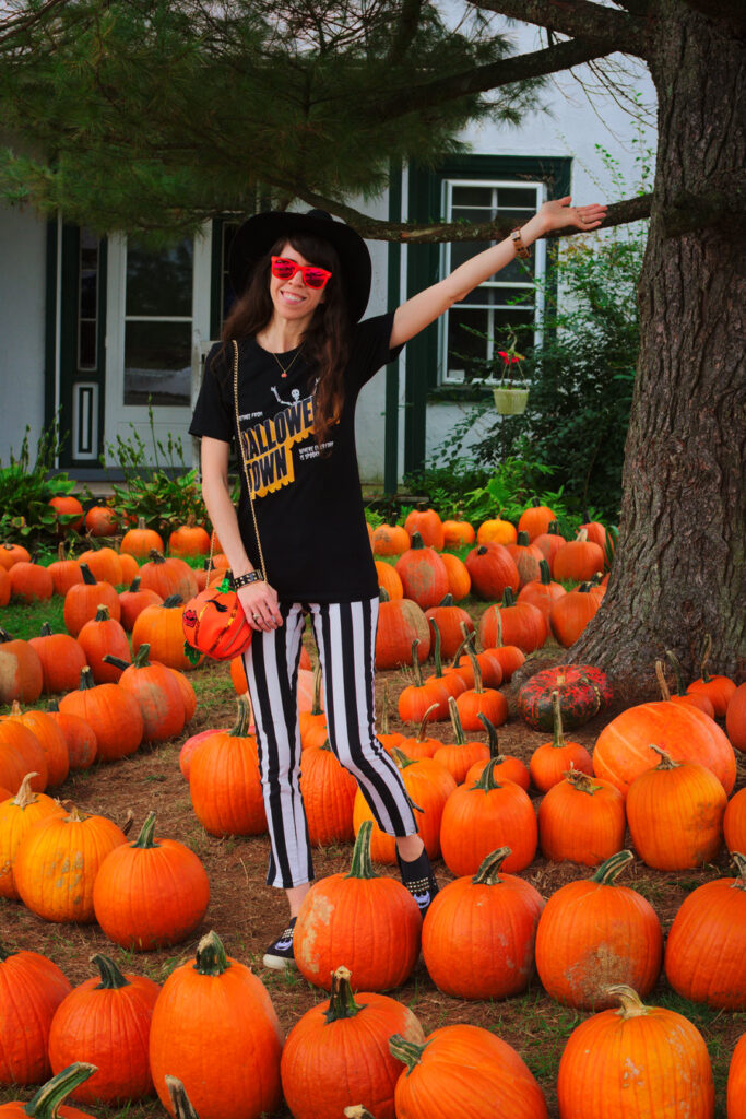 Pumpkin Picking at Barnard's Orchard