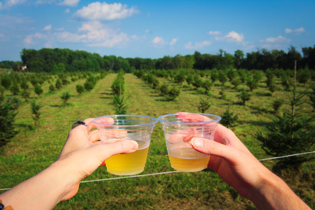 Old Stone Cider 