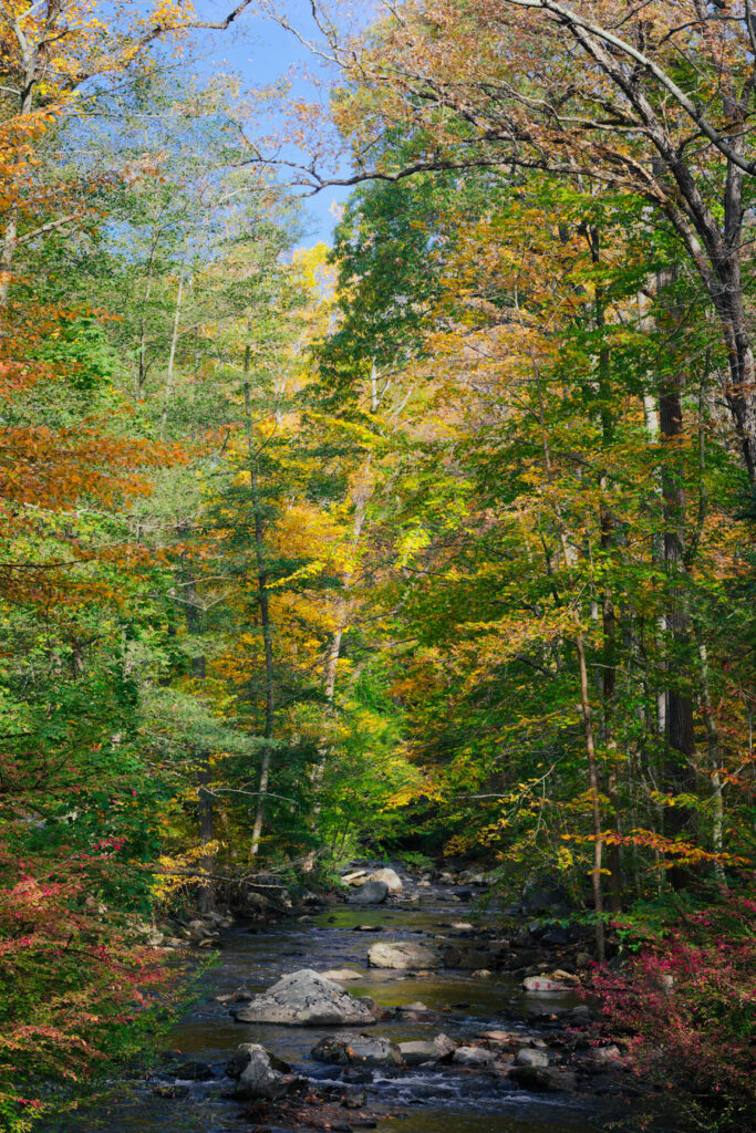 Sleepy Hollow Cemetery