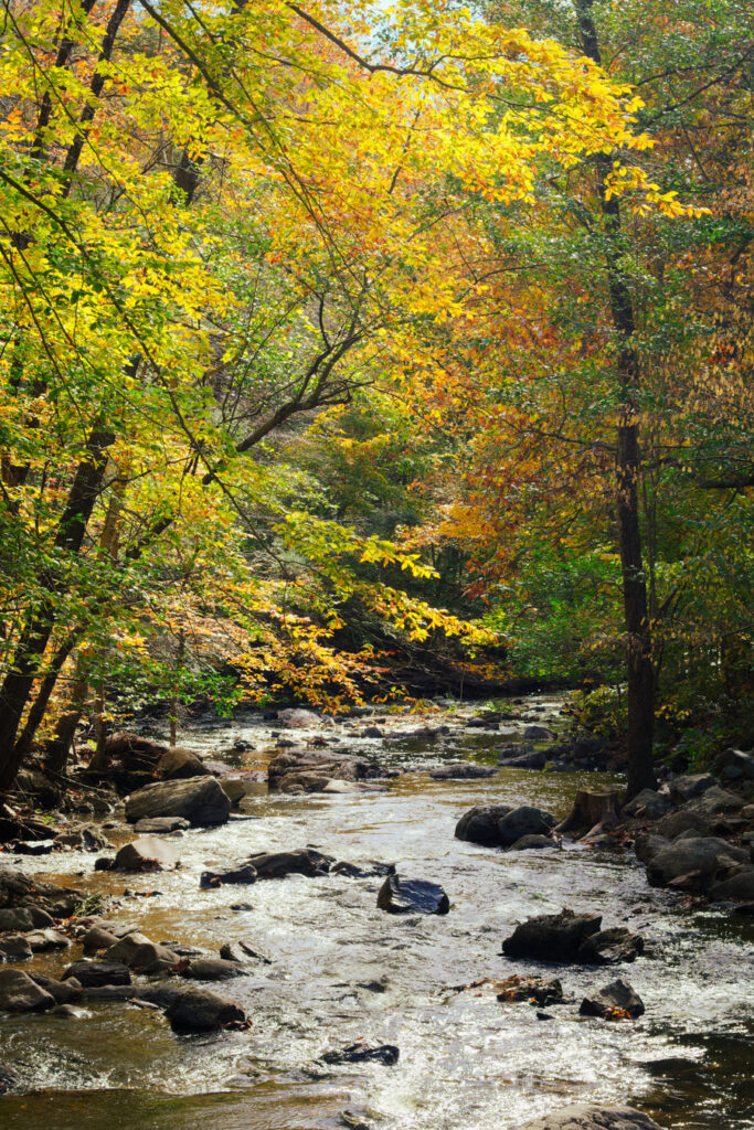 Sleepy Hollow Cemetery Fall