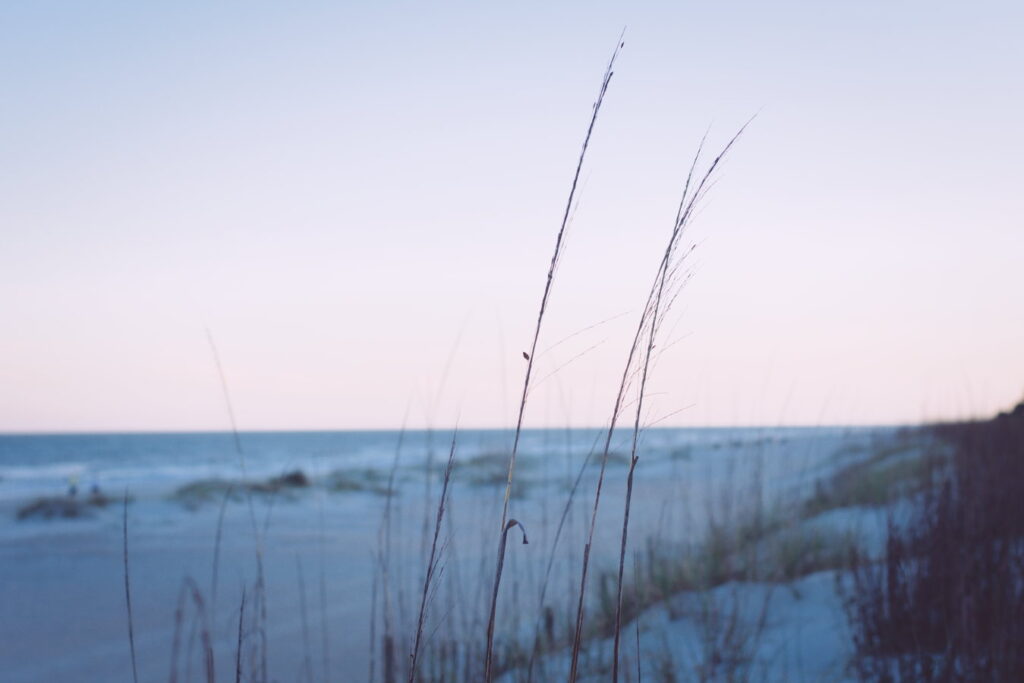Favorite Things To Do In Hilton Head