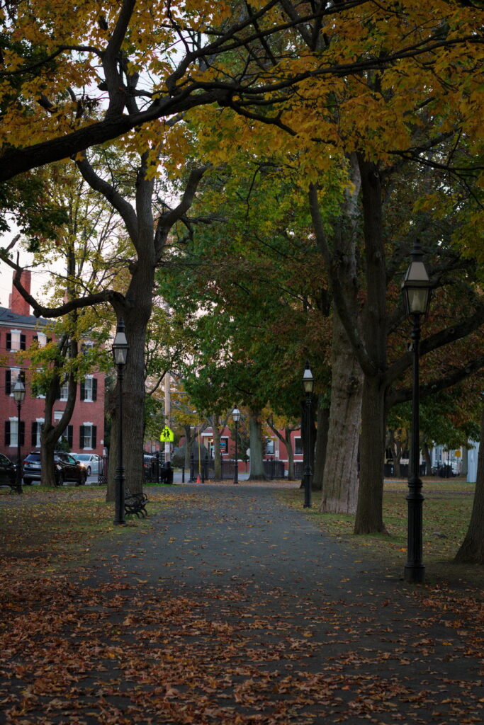 Salem Commons in the Fall