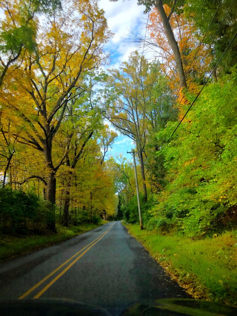 Scenic Fall Drive
