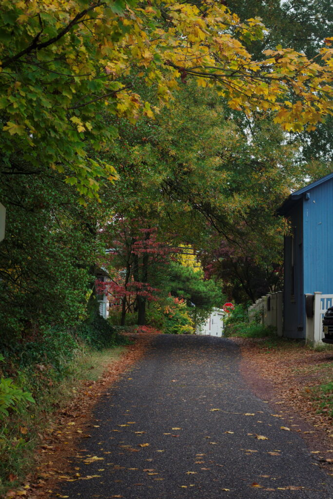 Fall in South Jersey