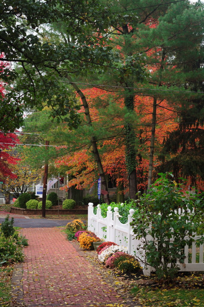 Spooky Fall Stroll